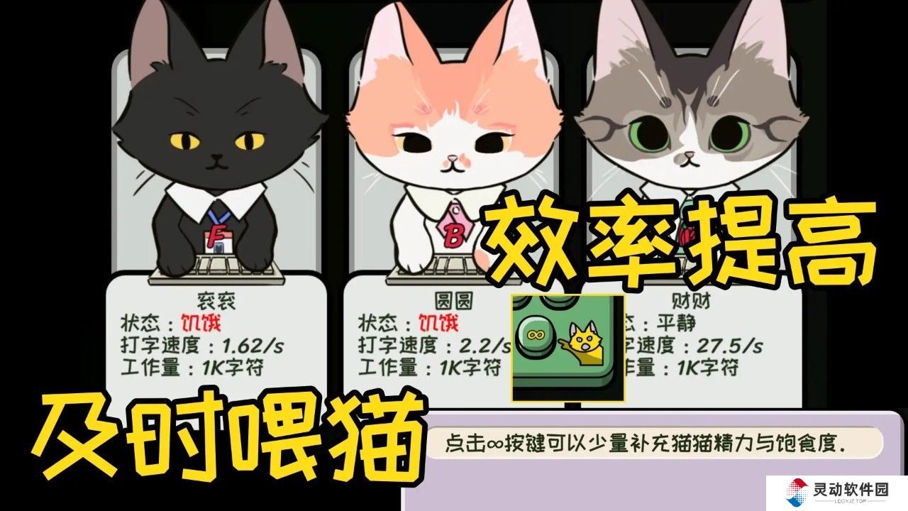 无限猫猫计划